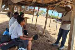 IMG-20260603-WA0066-1